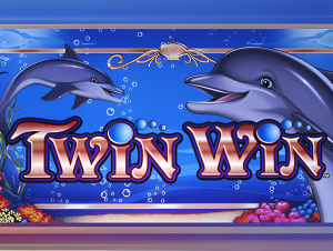 Dobre a Diversão com Twin Wins O Jogo de Cassino que Encanta!
